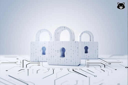Cyber security for Everyone