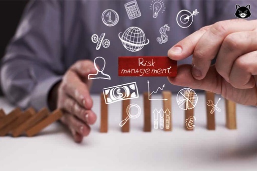 Investment Risk Management
